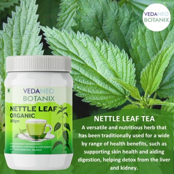 tea and herbs,nettle leaf tea,nettle leaves,nettle tea,best herbal tea,nettle tea benefits,herbal tea for weight loss,herbal green tea,nettle leaf benefits,organic herbal,nettle plant tea,best tea for anxiety,best teas for health,natural tea,best tea to drink in the morning,herbal flower tea