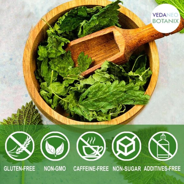 tea and herbs,nettle leaf tea,nettle leaves,nettle tea,best herbal tea,nettle tea benefits,herbal tea for weight loss,herbal green tea,nettle leaf benefits,organic herbal,nettle plant tea,best tea for anxiety,best teas for health,natural tea,best tea to drink in the morning,herbal flower tea