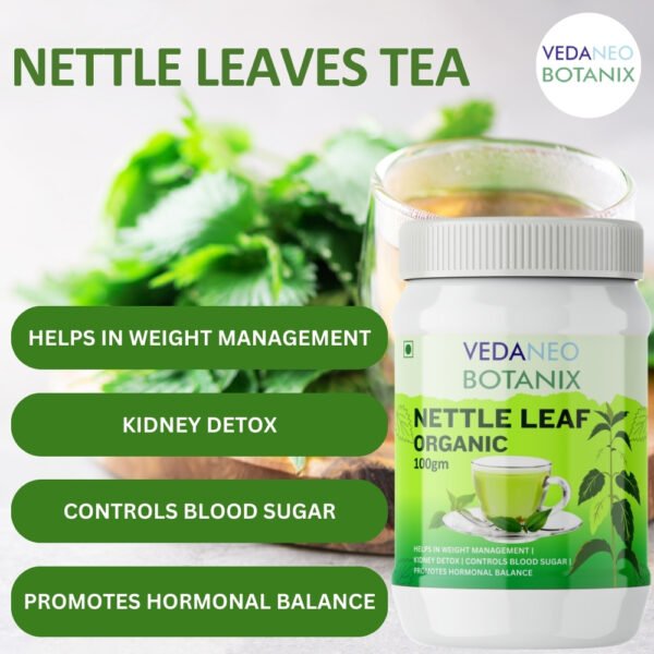 tea and herbs,nettle leaf tea,nettle leaves,nettle tea,best herbal tea,nettle tea benefits,herbal tea for weight loss,herbal green tea,nettle leaf benefits,organic herbal,nettle plant tea,best tea for anxiety,best teas for health,natural tea,best tea to drink in the morning,herbal flower tea