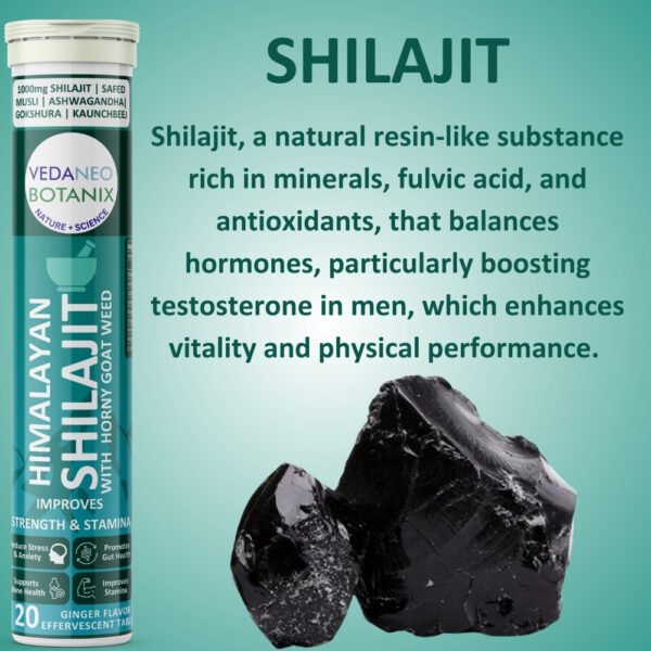 tablet dispersible,effervescent tablets,shilajit effervescent tablet,ginger flavor shilajit effervescent,SHILAJIT TABLET, SHILAJIT FOR MEN, SHILAJIT EFFERVESCENT, HIMALAYAN SHILAJIT